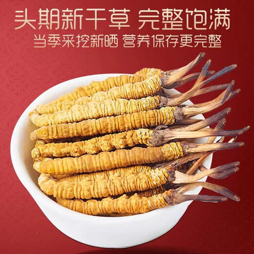 Cordyceps sinensis cordyceps sinensis tibetanische schneebedeckte cordyceps 2 Gramm Trockenwaren Cordyceps Geschenk 60 gute Produkte 60 Geschenkboxen [Spezifikationen 3 Gramm 1 Gramm]