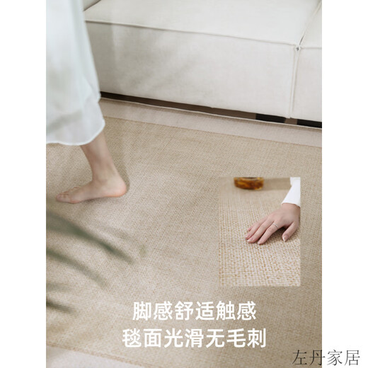 创京懿选地毯客厅2025新款免洗可擦高级客厅地毯2025新款凉席地垫夏季冰丝 四季款-宜沐15780 160cm*230cm 【触感舒适】