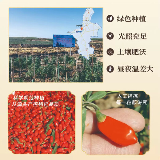 Guyuan Pintura Tienda Oficial de la tienda Ningxia Ningxia de primera clase Vino de té de Wolfberry 100% auténtico comparable a la calidad de Pangdonglai [partículas grandes] 250 gramos + un lata + grado especial de grado