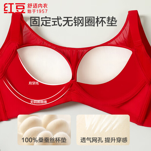 Hongdouhong shopping mall same style baby cotton 100% mulberry silk lining crescent support side protection no wire bra