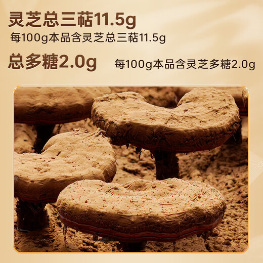雷允上【官方】破壁灵芝孢子粉 1g/袋*60袋装长白山赤灵芝精粹增强免疫 【2个月装】灵芝孢子粉60g*2盒