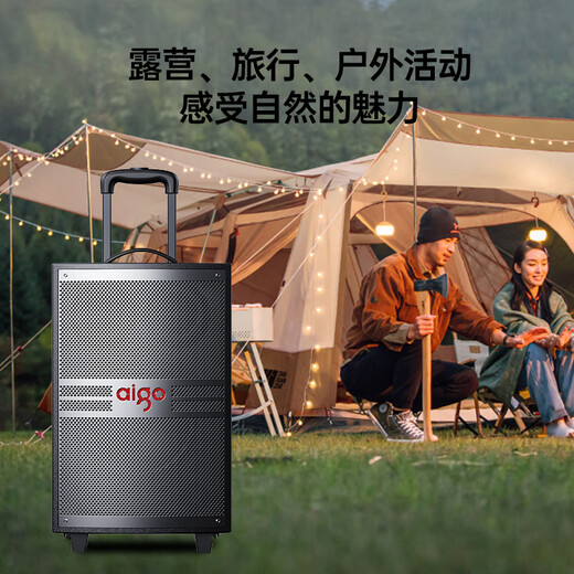 Patriot S312 12-inch square dance audio outdoor high-volume Bluetooth trolley speaker high-power portable mobile performance karaoke subwoofer street stall speaker single microphone