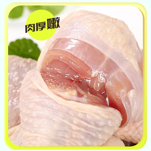 Fresh Antibiotic-Free Pipa Legs Net Weight 6Jin Jin is equal to 0.5kg Antibiotic-Free Chicken Thighs Grilled Chicken Legs Fried Chicken Legs Halal Food New Year’s Festival