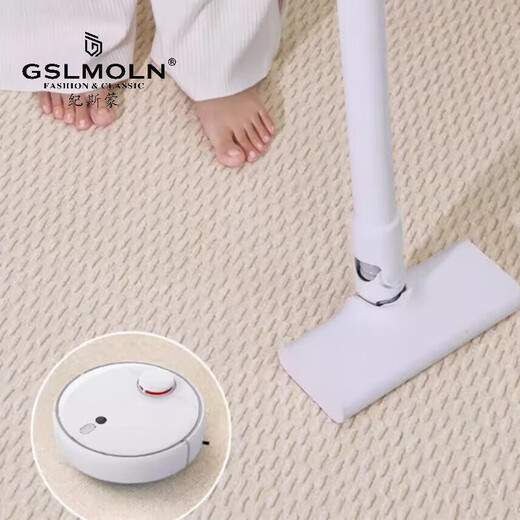 GSLMOLN客厅地毯【升级加厚质感】轻奢卧室奶油风免洗可擦沙发茶几毯 泽洋-9926 140cm*200cm