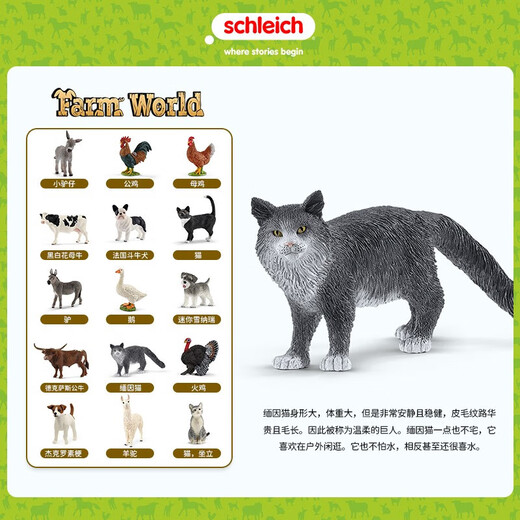 Schleich s simulation Modèle Animal chat chien garçon fille fille enfants cadeau jouet don d'illumination cognition 3+ rhodesien ridge back dog 13895