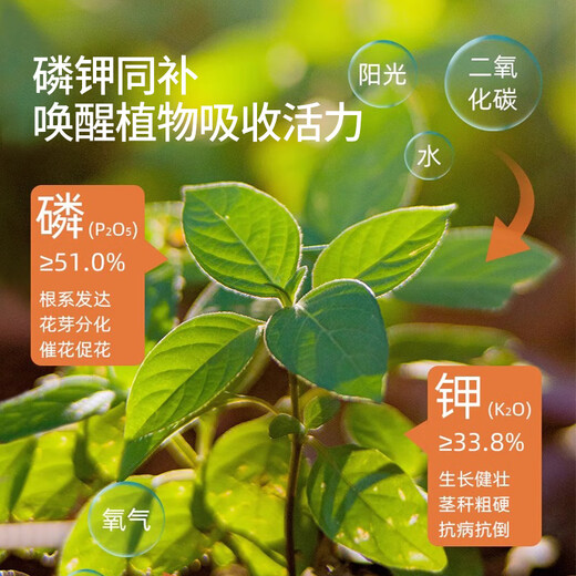Guoguang Anmethyl Phosphate Dihydrogen Expanded Fly Control Agricultural Phosphorus Potassium Water-Soluble Fertilizer Fruit Tree Vegetable Flower Plant Universal Foliar Fertilizer
