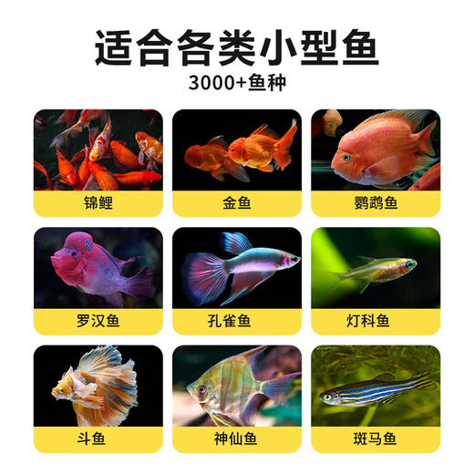 观赏鱼饲料通用鱼粮上浮型颗粒型鱼料锦鲤淡水鱼小型鱼食金鱼饲料 三效合一1050ml小颗粒 约485g