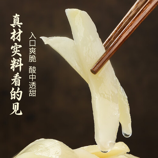 Shengyu Sweet and Sour Tender Ginger 1050g Anhui Tongling White Ginger Special Produces Ginger Fresh Tender Ginger Vinegar Soaked Ginger Sauce Ginger Sprout Sauce