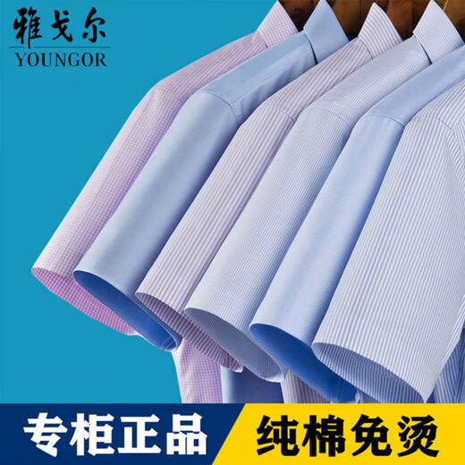 CEO雅戈尔旗舰官方店男士短袖衬衫商务休闲职业正装纯棉免烫纯色白衬 DX6623 浅蓝色 39