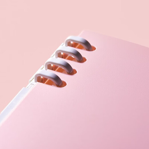 Kingjim Jingong Lose Leaf Book Neues CN9854Te Lose Leaf Book Hochwertiges Lose Leaf Notebook Notebook Großer CN9856te Lose Leaf Notebook A4-R-Pink