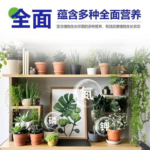 Flower Village Chang Plant Regeneration Agent Chuangying Selected Green Plant Potted General Fertilizer Yellow Growth Nutrient Solution Plant Essence Five Boxes