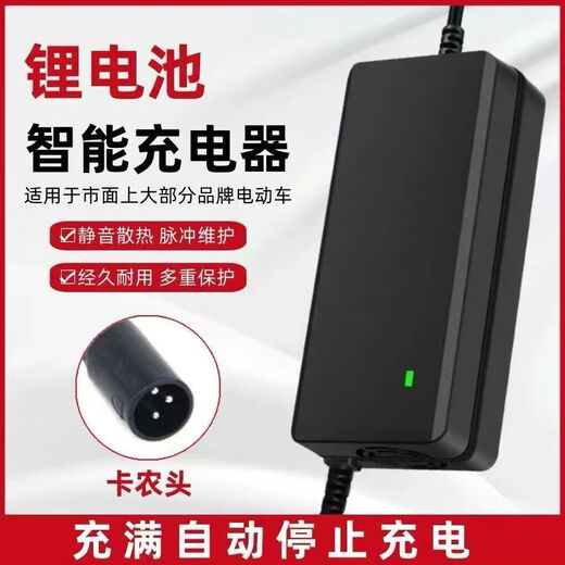 Lithium battery electric vehicle charger 48V2A60V72V3A Yadi Tailing Phoenix permanent flying pigeon 54.6V cannon cannon head 48V2A output 54.6V