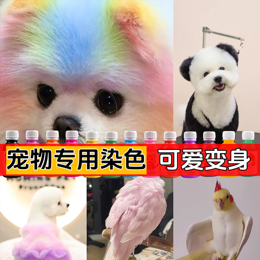 Teddy special dog hair dye pet dye puppy hair dye cream dog hair decontamination powder hair dye dye cream pet special research golden yellow upgraded version 3.0