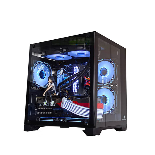 玩嘉 孤勇者MINI白电脑机箱台式机MATX海景房240一体水冷全侧透ITX桌面 孤勇者MINI黑