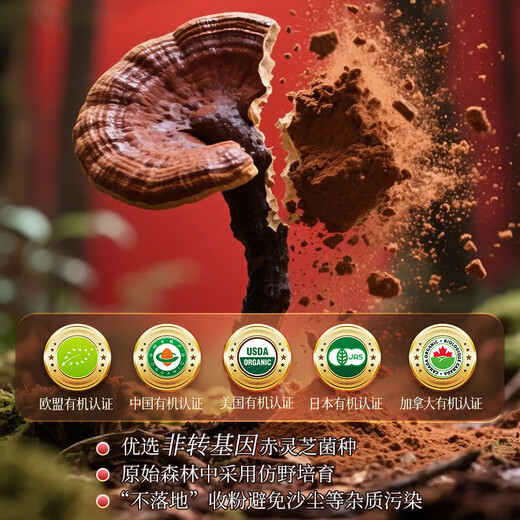 Wilakon/Weiekang Blambi Ganoderma Sporenpulverkapseln verstärken die postoperative Strahlung und Chemotherapie im mittleren Alter und ältere Ernährungsprodukte 360 Tabletten/Box
