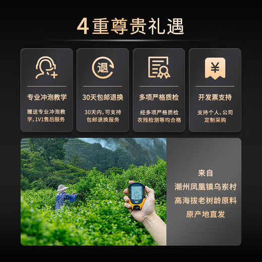 第王古树乌岽鸭屎香凤凰单枞茶特级乌龙茶潮汕茶叶单丛品鉴装送礼盒装 【乌岽鸭屎香】250g*1罐 清香型250g