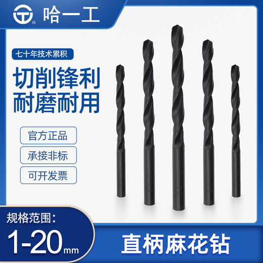 Harbin Yigong straight handle twist drill bit M2 high-speed network Harbin electric rotary table drill white steel drill bit drill bit to punch steel 1.0mm (10 pieces)