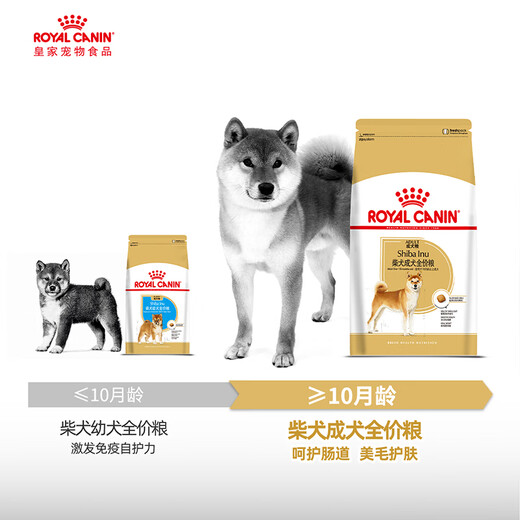 Royal Dog Food Shiba Inu Dog Food Food Pet Medium SIA26 Precio completo Alimento para perros de octubre-8 años 6.5 kg