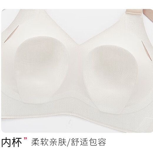 Chinami cómoda ropa interior inalámbrica para mujeres ligeras y transpirables CUPA CUBRA COLLA COLOR M (75BCDE)