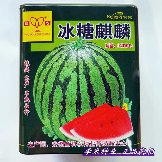Rock sugar unicorn watermelon seeds extra large high yield red flesh spring sowing Zaojia 8424 super sweet original Zaojia 8424 original 5g