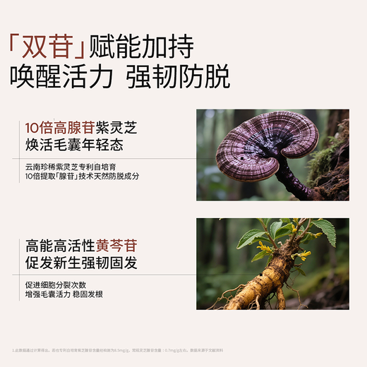 roye若也防脱固发洗发水无硅油丰盈强韧赋能洗发液蓬松洗头膏208ml