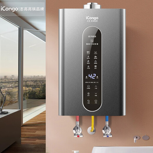 ICongo high-end brand, free door-to-door installation, gas water heater for household balanced thermostatic bathroom, 12L 12L starry sky gray, bathroom-specific, precise constant temperature + air leakage protection, natural gas (12T)