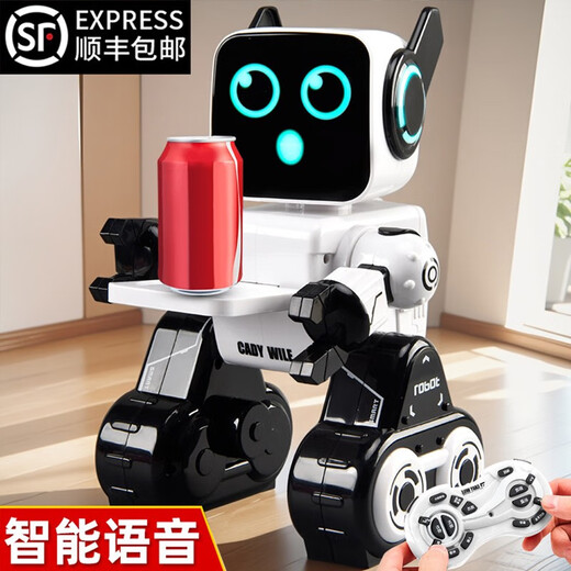 囧仔遥控机器人陪伴儿童智能语音对话2024新款高级黑科技玩具会说话的 智能对话-白色益智成长礼早教机 官方标配