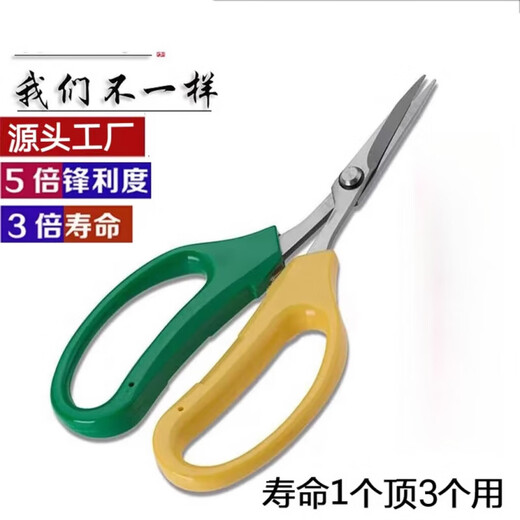 Nufeng Grape Special Scissors Stainless Steel Upturned Head Gardening Scissors Vegetables and Fruits Thin Fruit Pruning Flower Branches Pepper Picking Fruit Orange Picking 3 Upturned Head Grape Scissors
