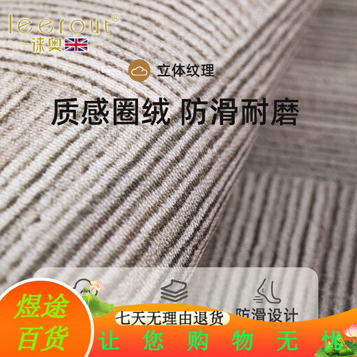 徕奥leerout入户门地垫进门地毯门口家用门垫防滑客厅玄关脚垫可裁剪 全季-15269 120cm*100cm1件数