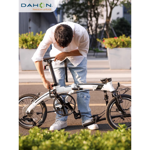 大行（DAHON）16寸迷你超轻9变速折叠自行车学生成人男女式单车PAA693 AIR云(白) 16英寸
