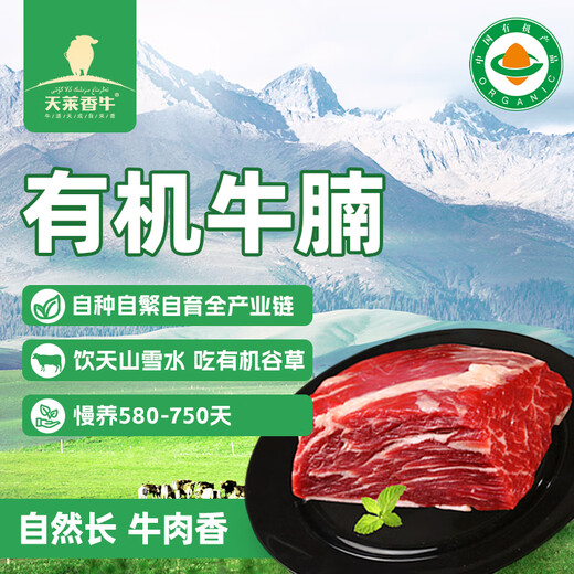 天莱香牛有机健康大块牛腩1斤 可溯源生鲜牛肉低温排酸谷饲清真【真原切】