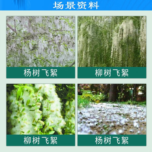 Taibang 4% gibberellic acid catkins and poplar catkins inhibitor eliminator willow and poplar catkins to prevent flowering and fruiting 10ml*100 pieces/box