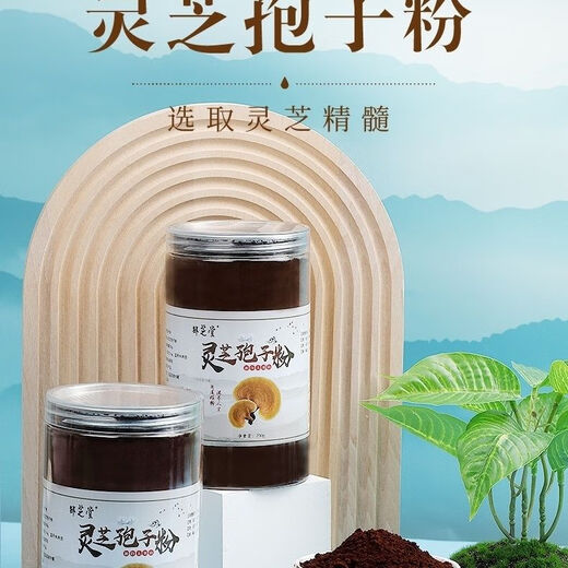 安徽大别山灵芝之都金寨椴木赤灵芝孢子粉灵芝粉三萜多糖中老年 1罐*250g 金寨灵芝孢子粉
