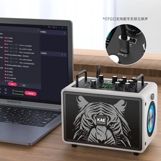 KAEM3 Audio British professional electric blowpipe saxophone singing Bluetooth speaker musical instrument live broadcast portable outdoor playing and singing M3 purple tiger head (portable 120W rated)