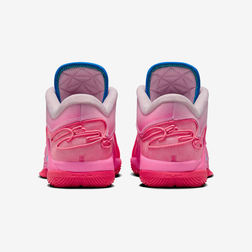 Nike NIKE Men's Basketball Shoes LEBRON XXII SN EP Sports Shoes HV8456-600 Pink Blue 43