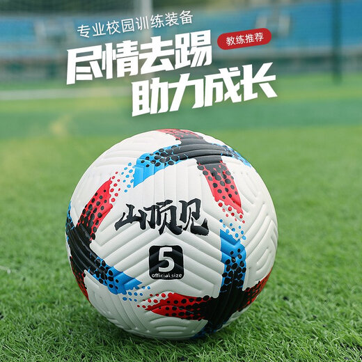 PU真皮脚感4号儿童小学生足球比赛标准5号中考训练足球 浅灰色 5009 5号球(正规11人制用)