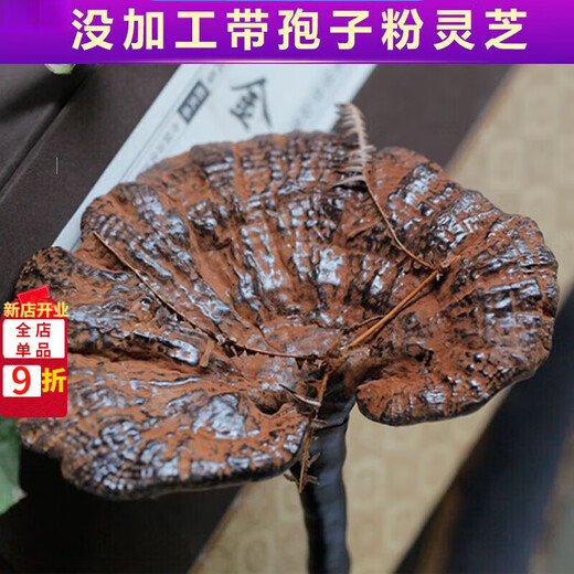 Fat Donglai's same wild Ganoderma lucidum pure natural purple Ganoderma wild L raw mountain natural non-bitter pruned branch with spore powder 250 grams Ganoderma lucidum sliced 3-4 pieces