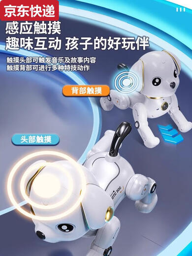 QILICAI ALLEMAGNE La qualité préférée Intelligent Robot Dog Children, garçons et filles 1-3 Rotor électrique Télécommande robot Toys 1 Touch Version électrique de la mise à niveau Glazed de grande taille intelligente