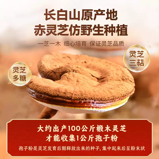 仙草至尊 灵芝孢子粉250克/罐 头道长白山灵芝粉送长辈父母滋补礼品礼物