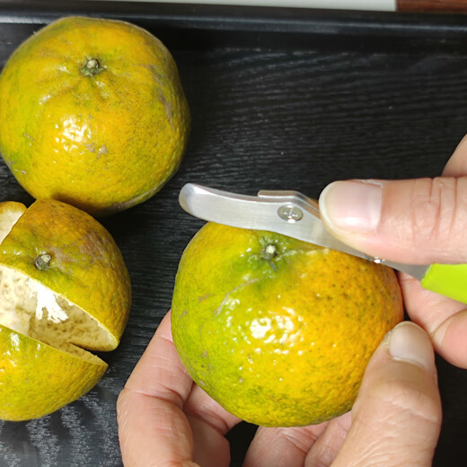 Sailoto Wooden Handle Fruit and Vegetable Core Remover