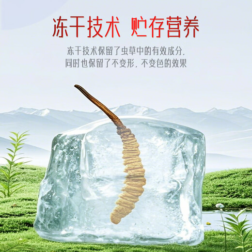 内廷上用北京同仁堂 冬虫夏草5g/盒 整根滋补品礼盒装营养品送长辈送父母
