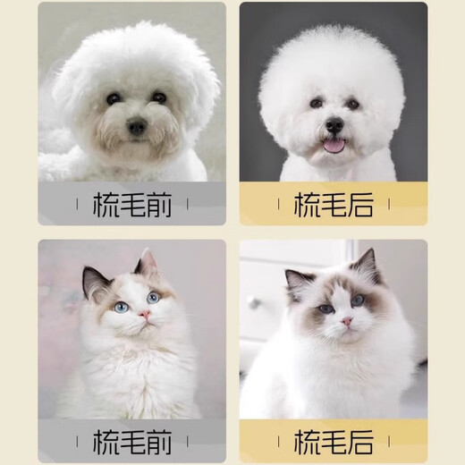 Pekingese dog grooming comb Bichon Pomeranian Teddy hair pulling knot removal floating hair pet dog hair cleaning grooming mint green - small plastic-free head more fluffy