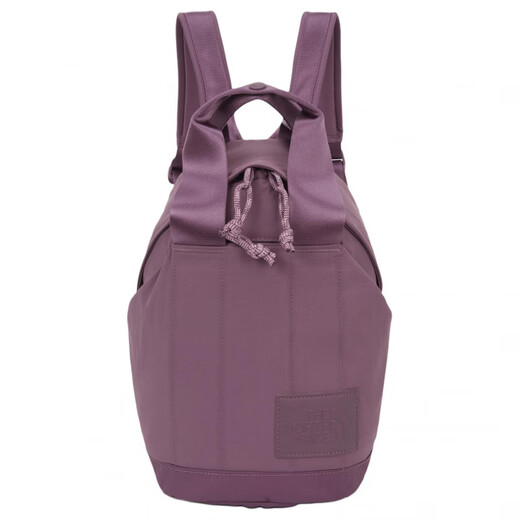 The North Face Neverstop lässig vielseitiger vielseitiger Reißverschluss Nylon Rucksack Mini -Frauentrauben lila Traube lila Mini