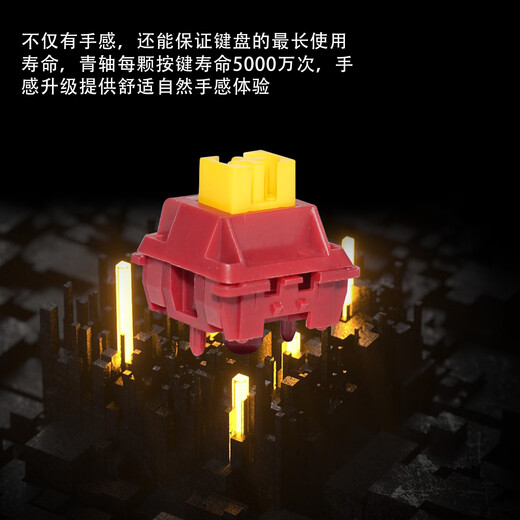 Lei Chuang axis linear axis paragraph axis DIY customized Internet cafe mechanical keyboard axis silent axis cross dustproof hot swappable customized panda optical axis 35 pieces + puller + can