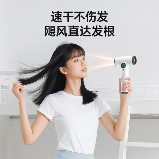 Wu Ke Rechargeable Wireless Hair Dryer Student Dormitory Special Hair Dryer Unplugged Art Entrance Exam USB Lithium Battery Blowing Hot Air High Power Pearl White/15600 mAh Battery Life + 100 Wind Levels + 30,000 RPM