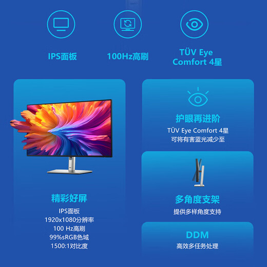 戴尔显示器（DELL）23.8英寸  FHD IPS 100Hz硬件级防蓝光 旋转可升降 微边框 壁挂 P2425H