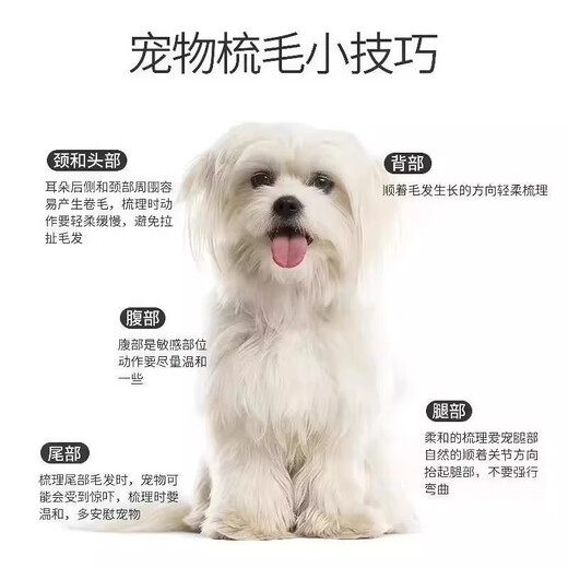 Pet lice comb, grate fine-toothed pet comb, pet supplies flea comb, fine-toothed cat floating hair comb, long flea comb YC09