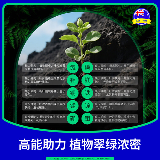 Tang Benchen's Lvqing Phytovitin saves yellow leaves and fallen leaves, Potassium Fulvic Acid, Money Tree Flower Nutrient Solution, Foliar Fertilizer, Pest Recommendation: 1 bottle of energizer + 1 bottle of insecticide