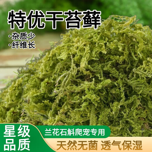 Moss sphagnum moss Phalaenopsis special soil dry moss orchid nutritious soil plant material potted pavement natural planting breathable premium moss 400g plush moss spread 24 liters