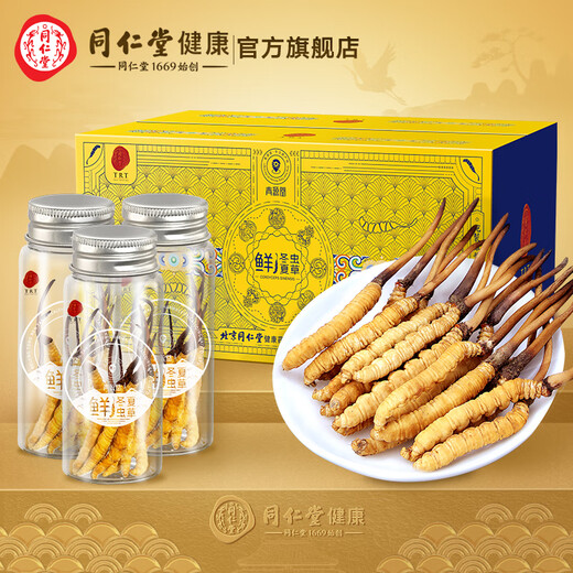 Tongrentang Brand Beijing Tongrentang Fresh Cordyceps Cordyceps Fresh Cordyceps Boîte cadeau Unbreakable Grass Cadeaux aux anciens 1 boîte 81G 3A Cordyceps frais 100 0,8-1g / pièce / pièce